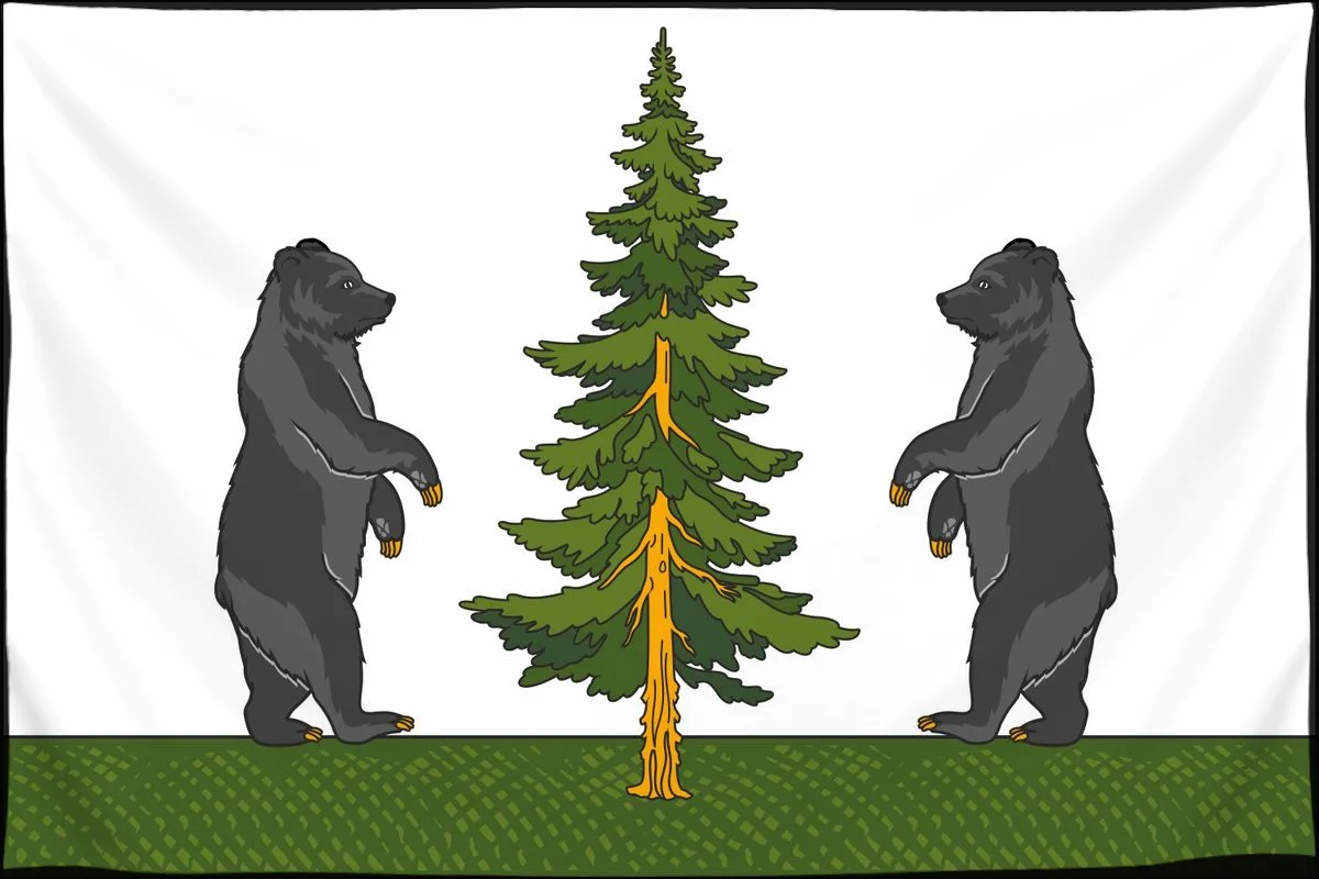 Флаг: Пестовский район